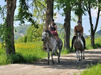 konie-krynica